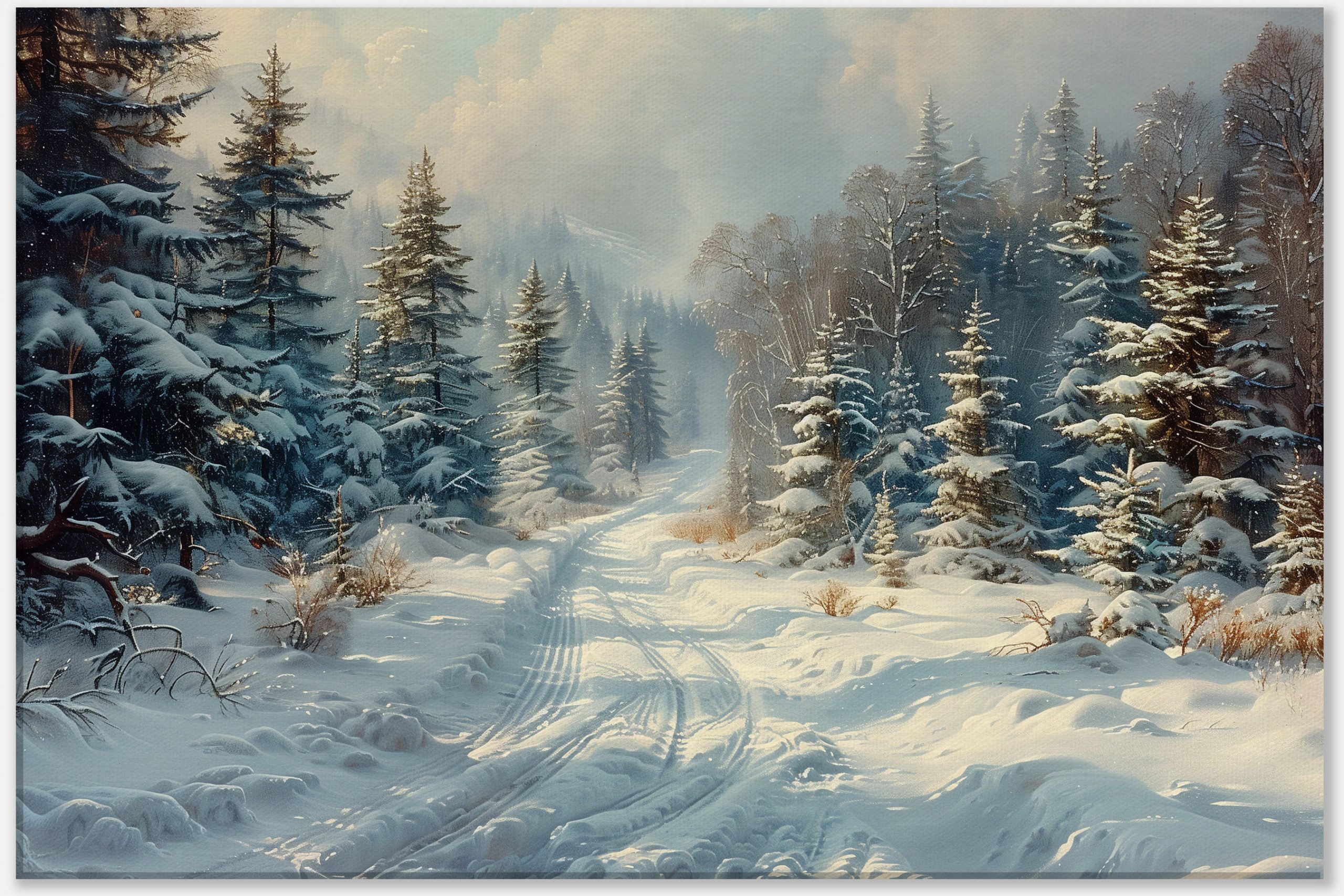 Winter Path in Evergreen Forest #0_60x90