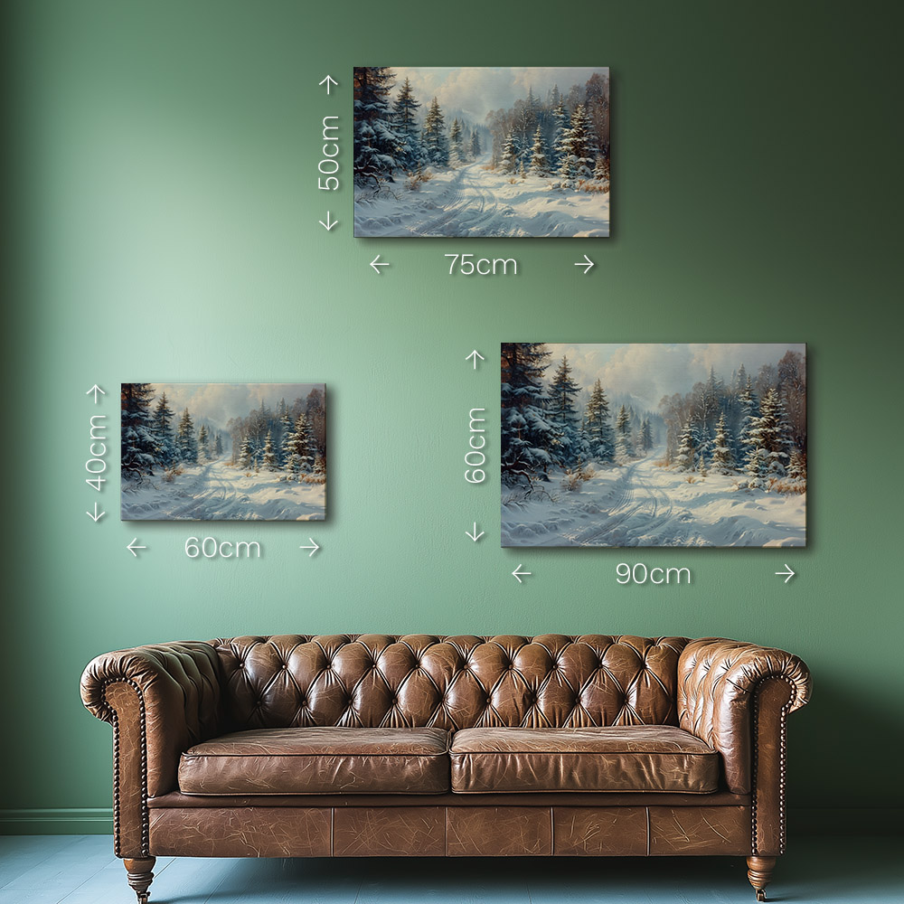 Winter Path in Evergreen Forest #1