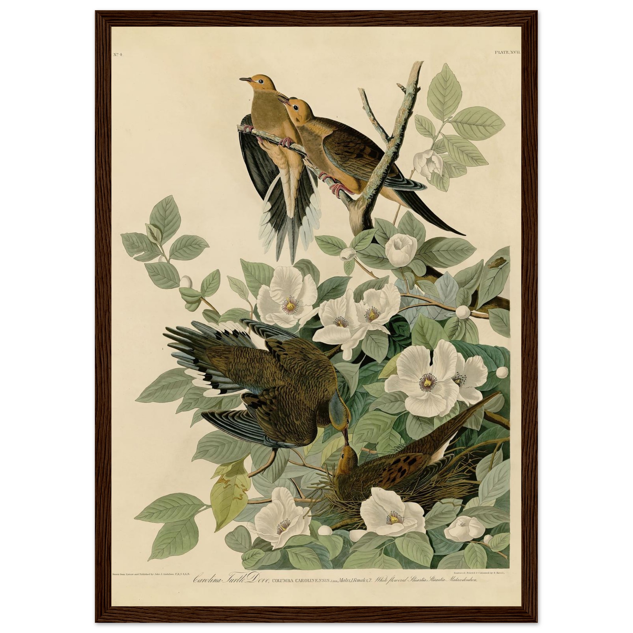 057655ca-6527-4198-8725-e363ec27ad6f.jpg 057655ca-6527-4198-8725-e363ec27ad6f