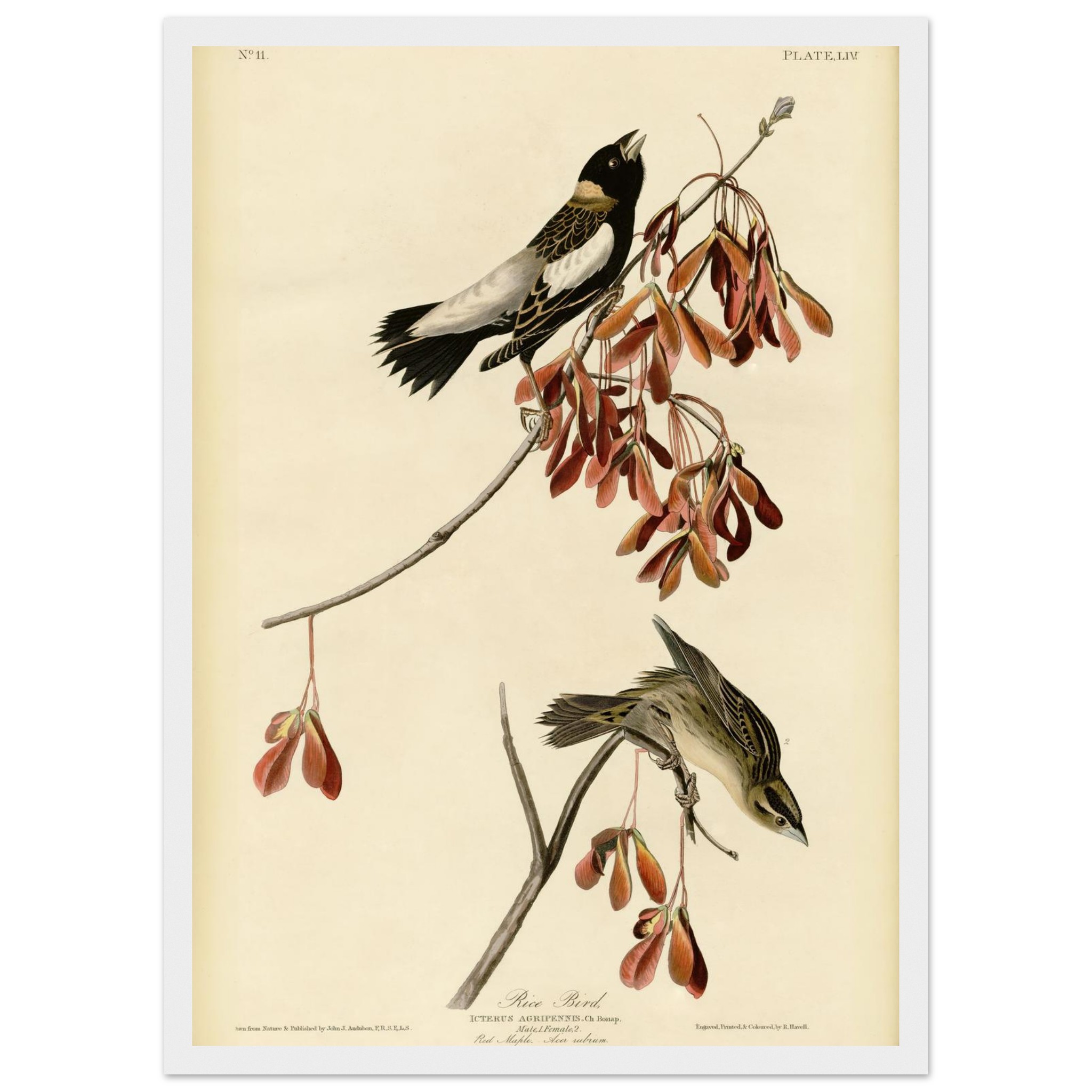 12603204-829c-41a0-9774-2cbf7056a0af