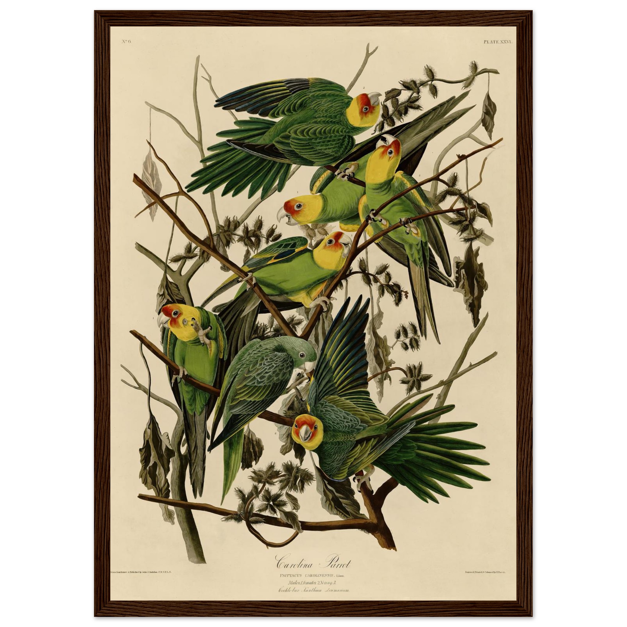 1846d47d-1e58-49a2-bc02-15ebaccecffa