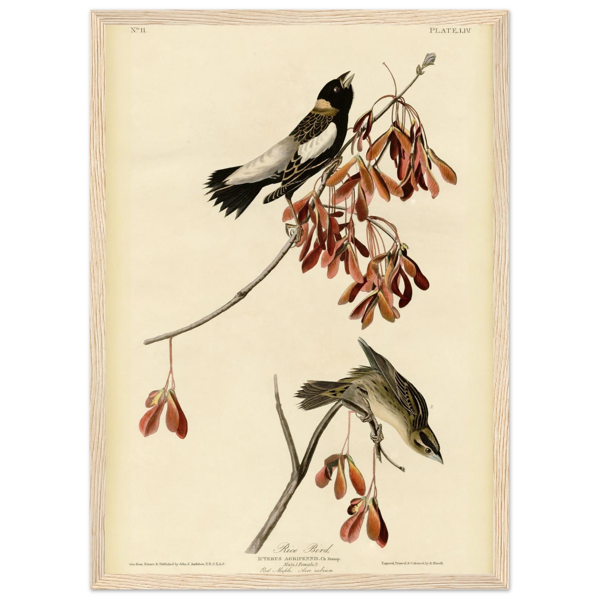 2ea0f35f-8e2a-4c9c-bc20-db931a0b47fe