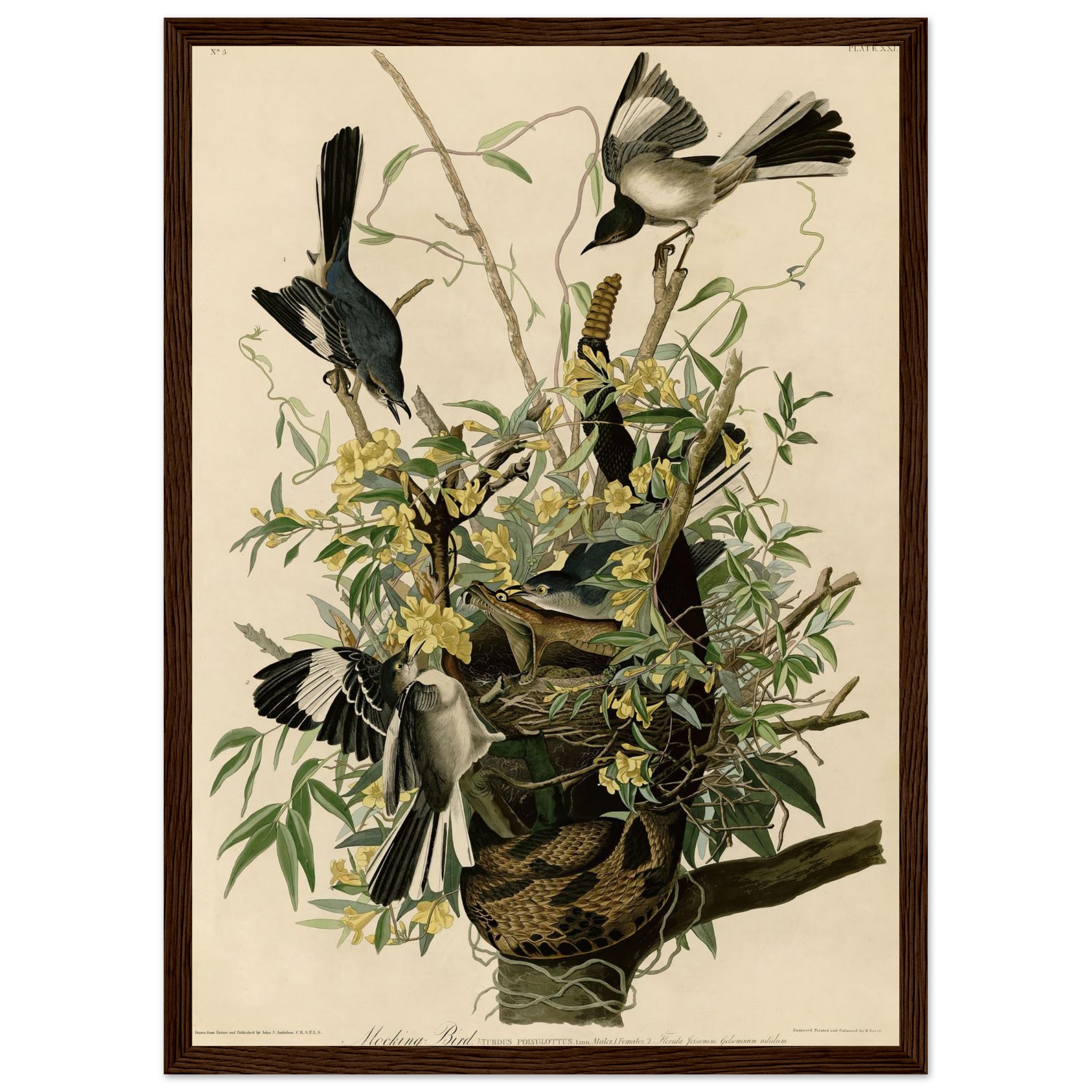 2ece256a-b76f-4bec-a975-dbb48a295399