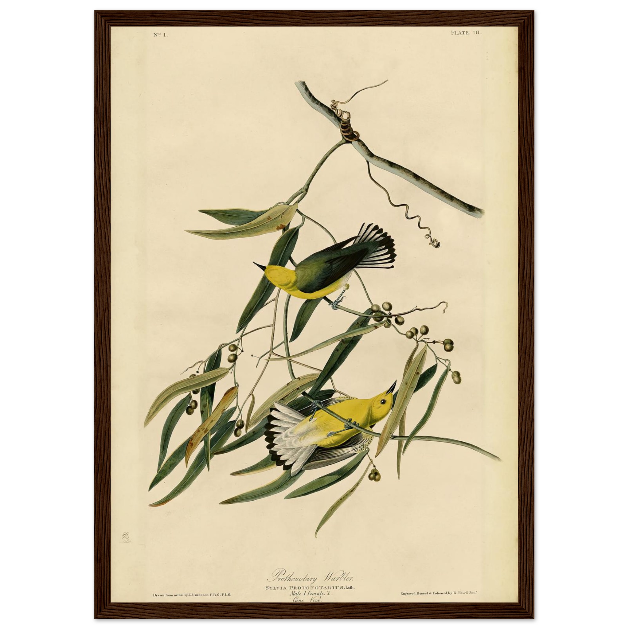 4c86329a-65df-44e8-8bbf-9bb09130ca48