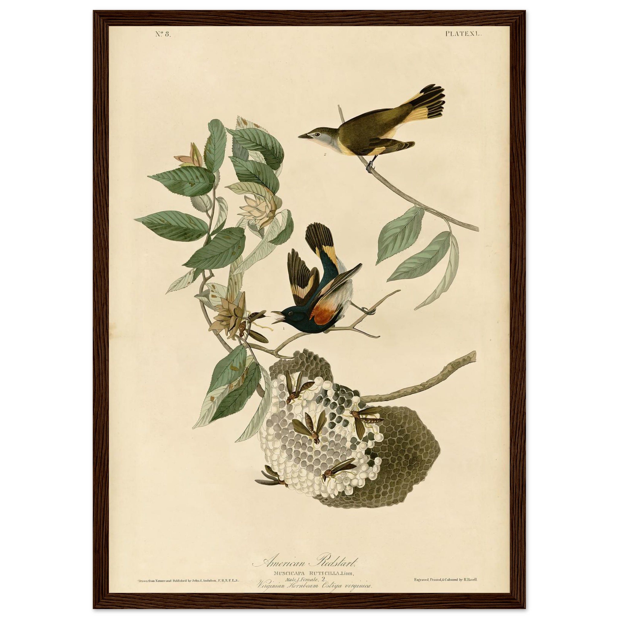 7b286338-b913-47e3-99c4-0fb8748e7ac4.jpg 7b286338-b913-47e3-99c4-0fb8748e7ac4