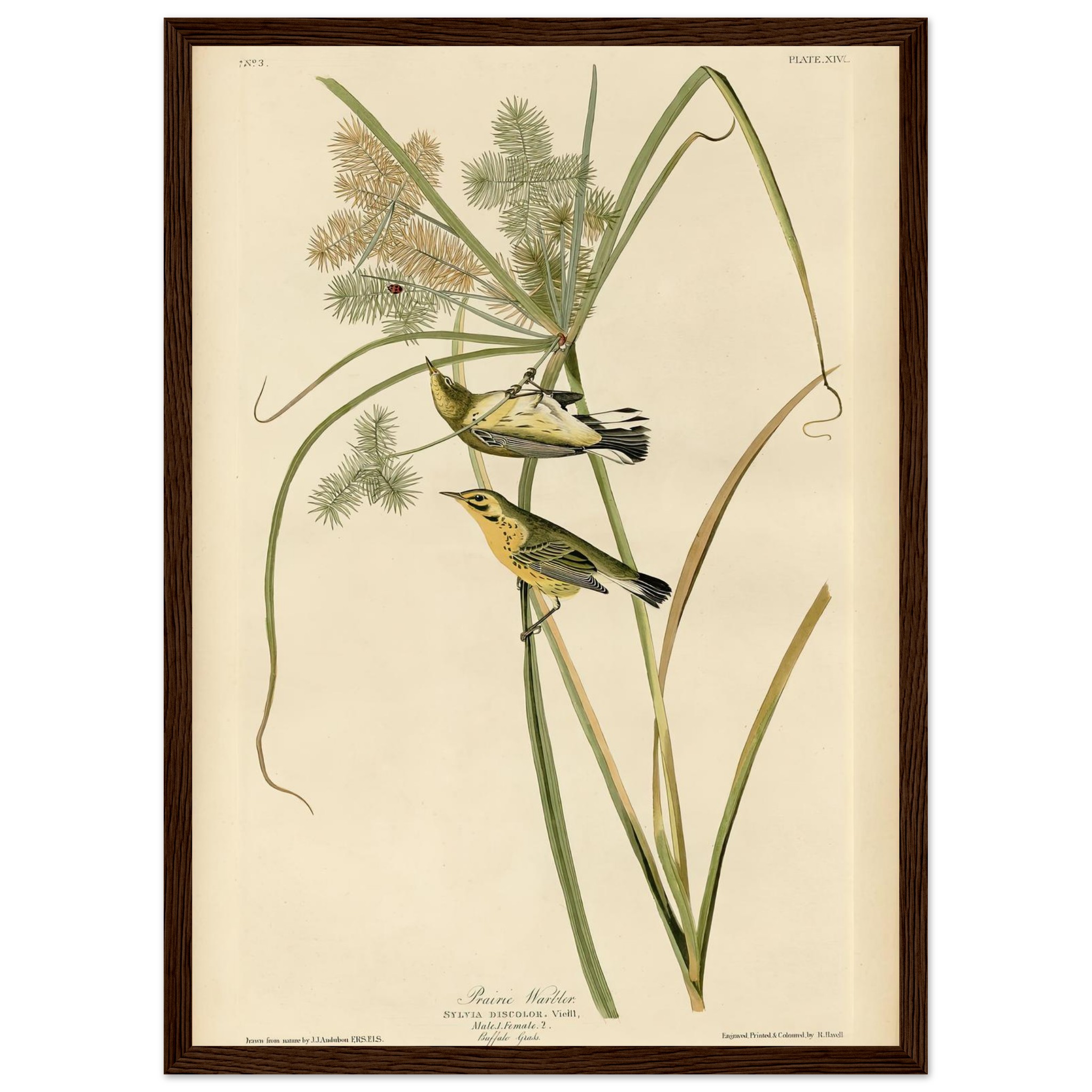 8517335e-6b6a-49d2-ac1a-5b9c94350ef4