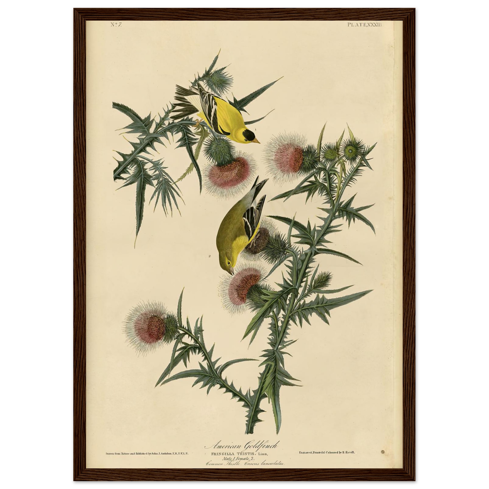 888198b9-5c3b-4456-ab4a-9040f8a483cd