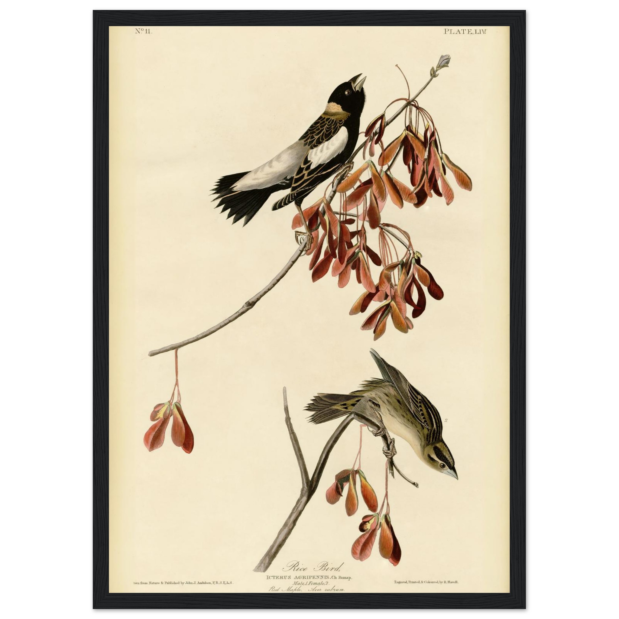 8b3d91e2-593b-48f2-93f2-9b9773d37311