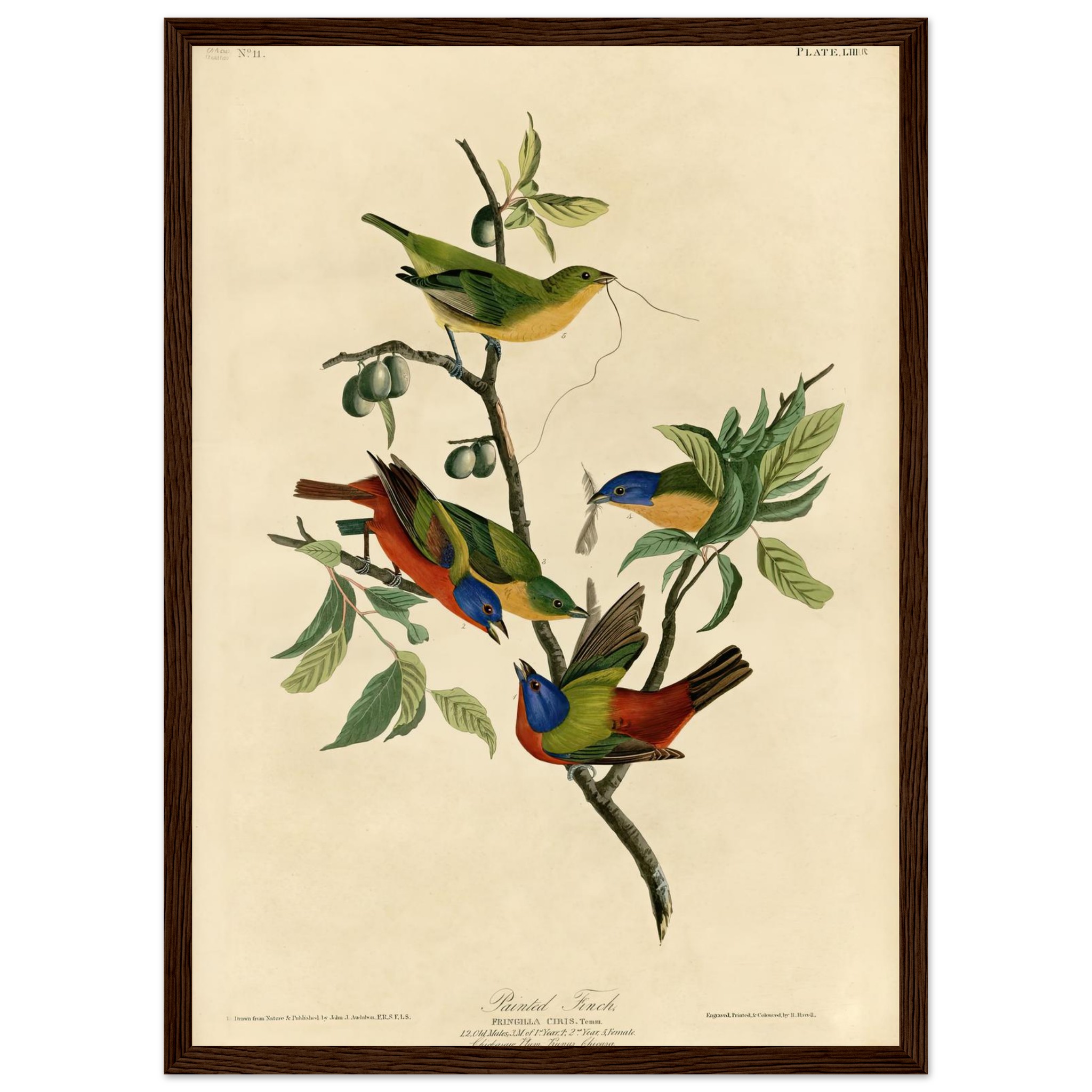 b61976f6-0f3a-4611-82db-241da3cd5c1a