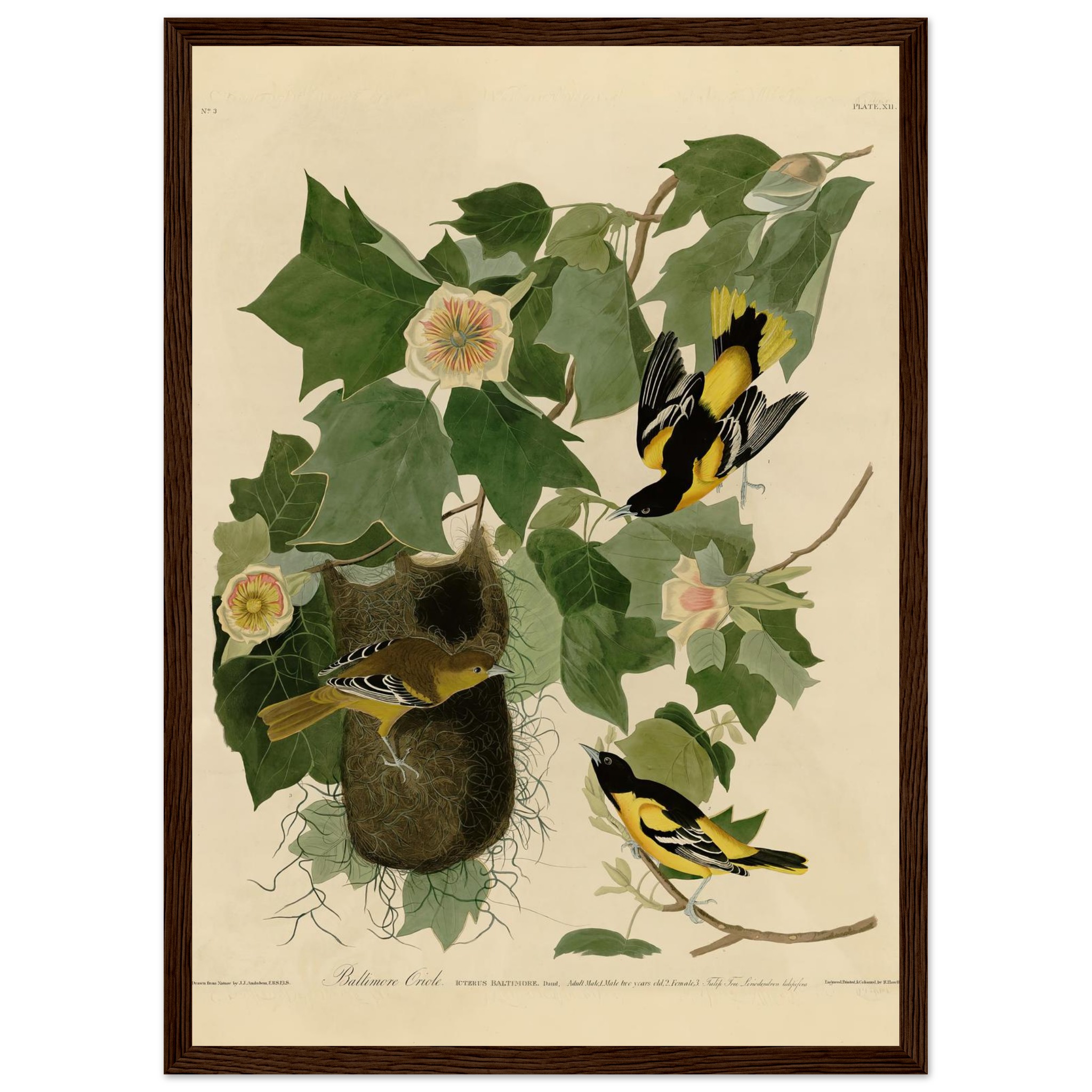 baffa809-34a3-488f-99b1-ee702b80e51e.jpg baffa809-34a3-488f-99b1-ee702b80e51e