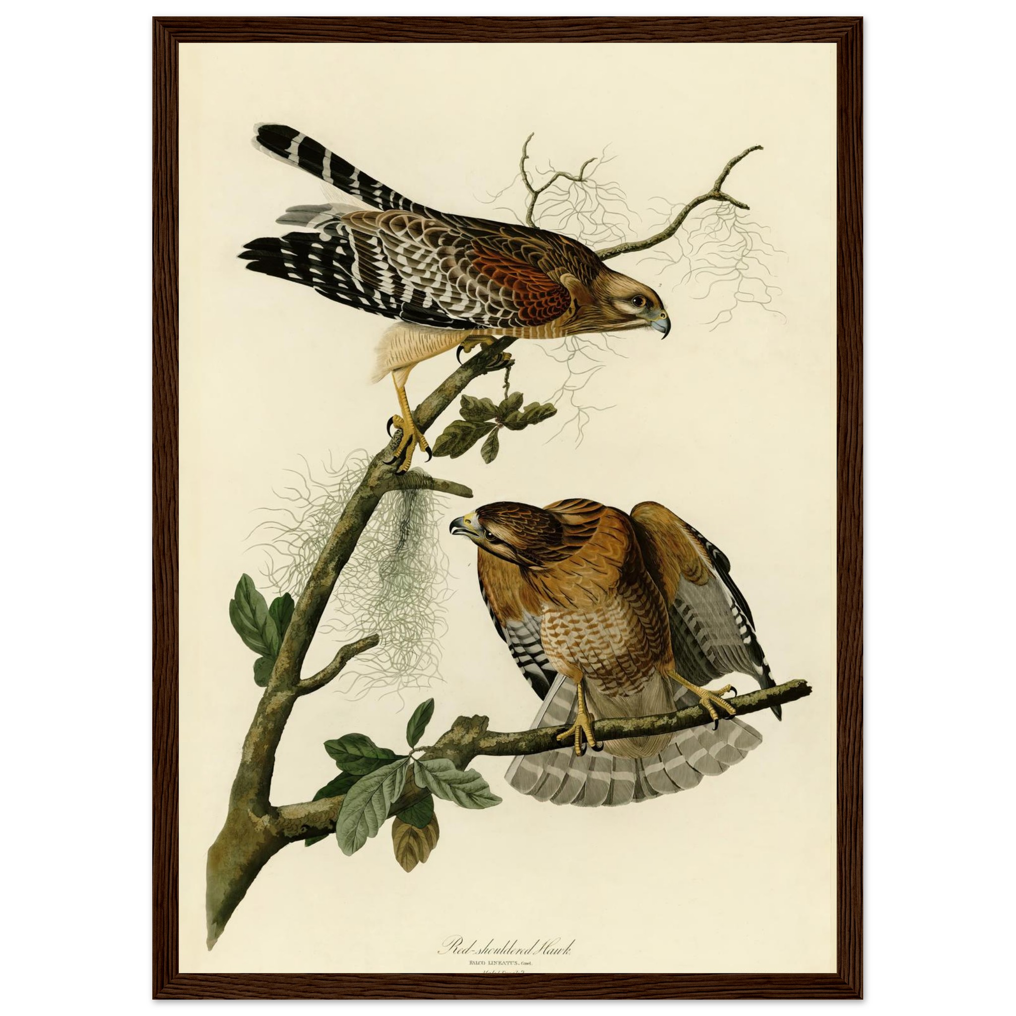 d481dc28-af83-4403-8f50-10974a352e1f