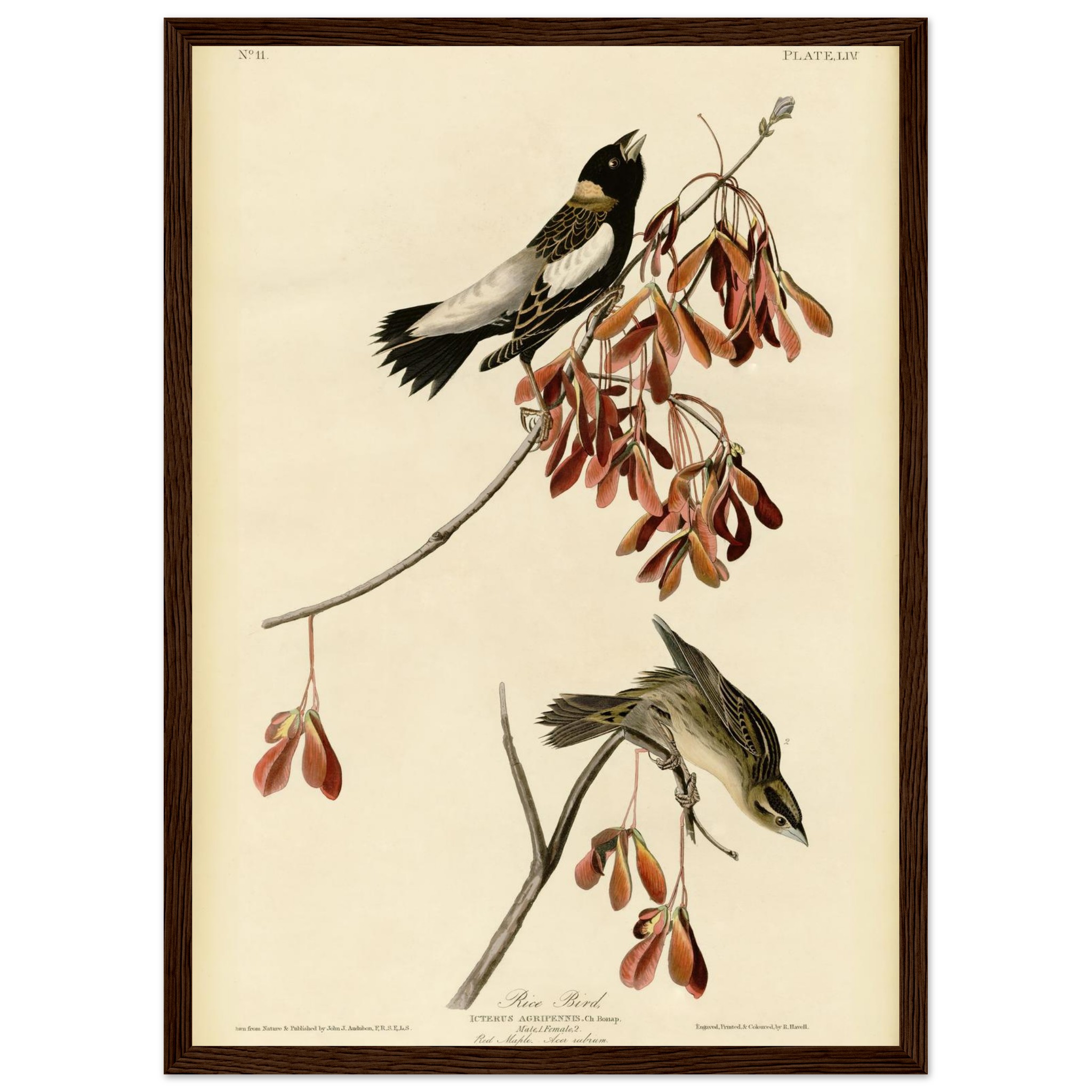 f61033ab-d8c9-4600-9662-a712b94b51d9