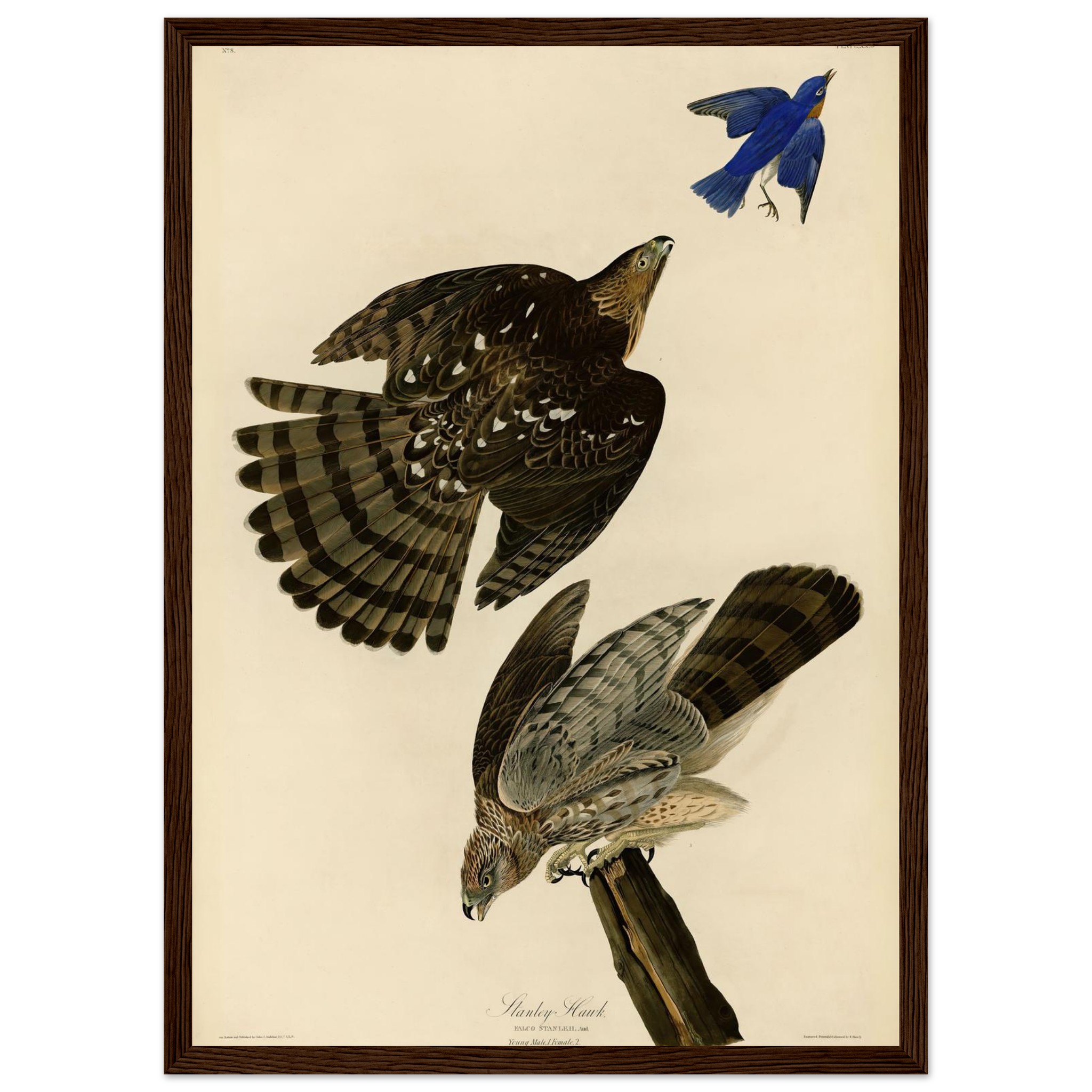 fe4248a7-ebcd-46ea-ab65-289e6b66c12a