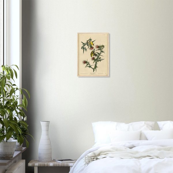 John James Audubon - American Goldfinch - -framed-art-wood-0