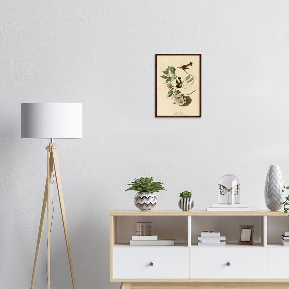 john-james-audubon-american-redstart-framed-art-dark-wood-1 John James Audubon - American Redstart - -framed-art-dark-wood-1