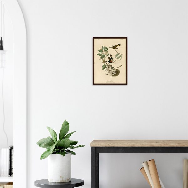 John James Audubon - American Redstart - -framed-art-dark-wood-2