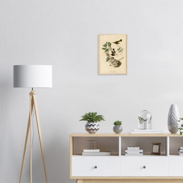 John James Audubon - American Redstart - -framed-art-wood-1
