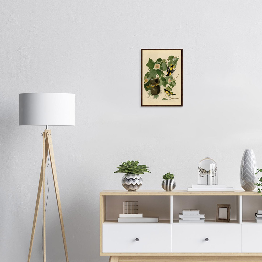 john-james-audubon-baltimore-oriole-framed-art-dark-wood-1 John James Audubon - Baltimore Oriole - -framed-art-dark-wood-1