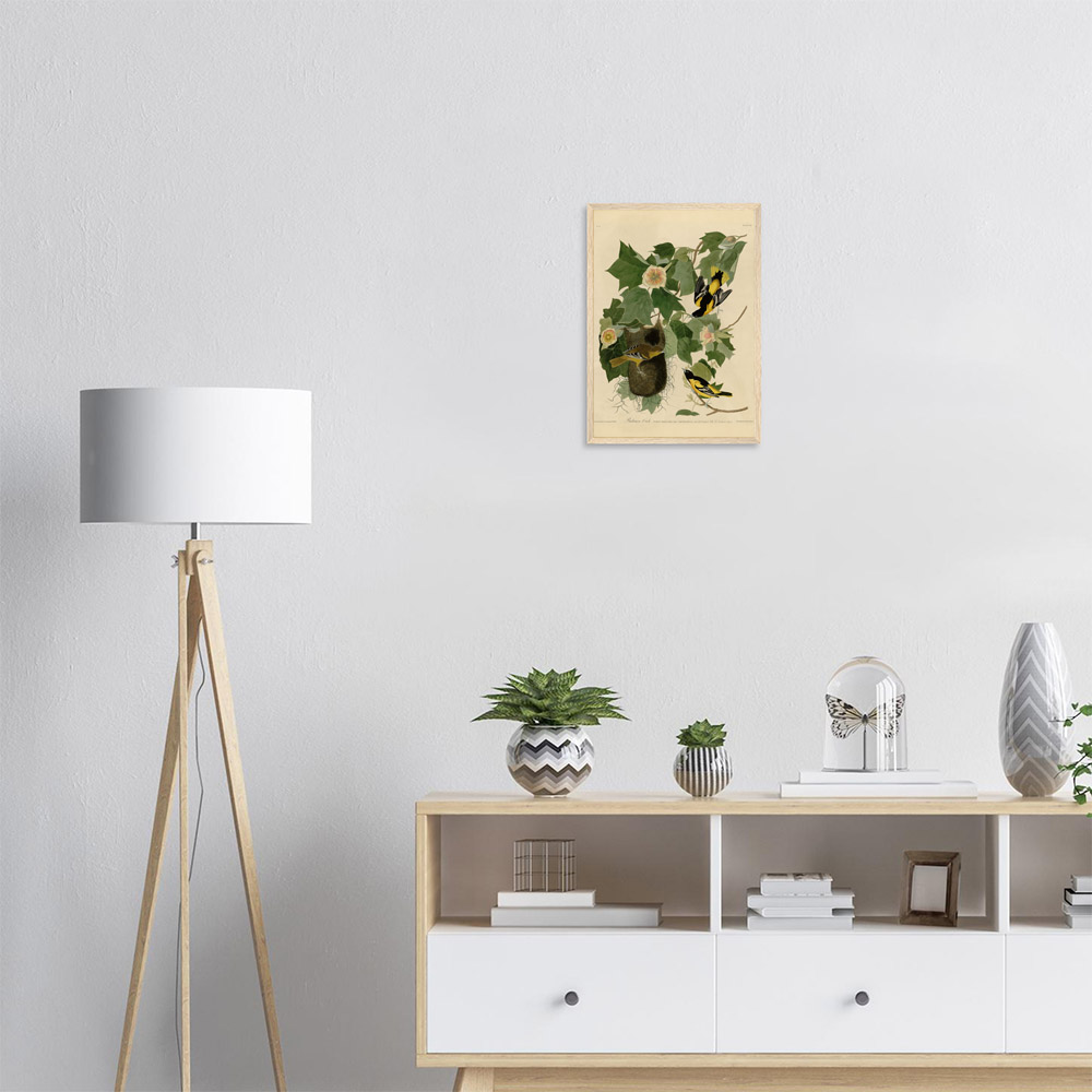 john-james-audubon-baltimore-oriole-framed-art-wood-1 John James Audubon - Baltimore Oriole - -framed-art-wood-1