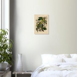 John James Audubon - Carolina Parrot - -framed-art-wood-0