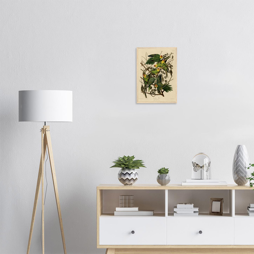 John James Audubon - Carolina Parrot - -framed-art-wood-1