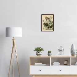 John James Audubon - Carolina Turtle Dove - -framed-art-dark-wood-1