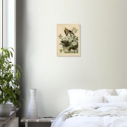 John James Audubon - Carolina Turtle Dove - -framed-art-wood-0