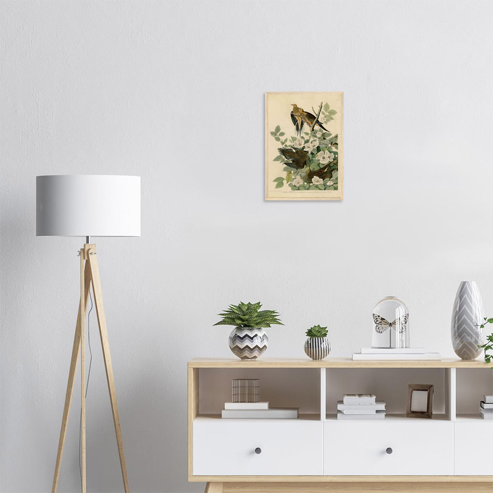 john-james-audubon-carolina-turtle-dove-framed-art-wood-1 John James Audubon - Carolina Turtle Dove - -framed-art-wood-1