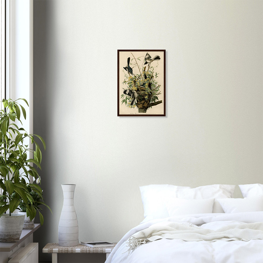 John James Audubon - Mocking Bird - -framed-art-dark-wood-0