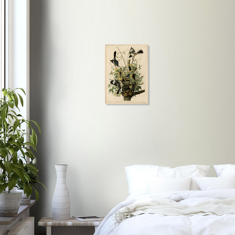 John James Audubon - Mocking Bird - -framed-art-wood-0