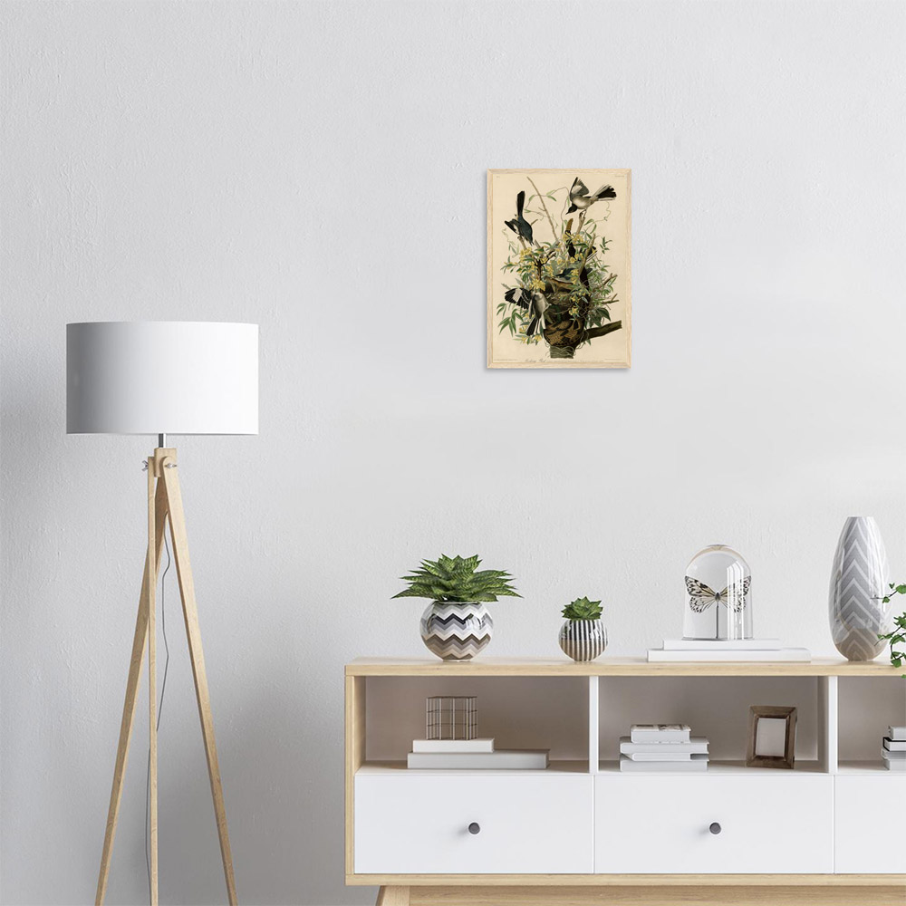 John James Audubon - Mocking Bird - -framed-art-wood-1