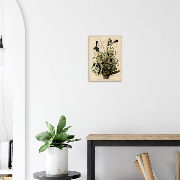 John James Audubon - Mocking Bird - -framed-art-wood-2