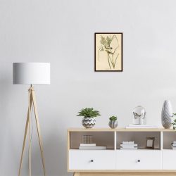 John James Audubon - Prairie Warbler - -framed-art-dark-wood-1