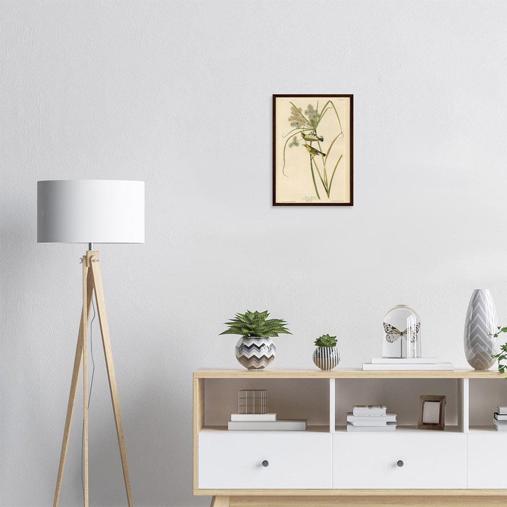 John James Audubon - Prairie Warbler - -framed-art-dark-wood-1