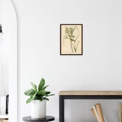 John James Audubon - Prairie Warbler - -framed-art-dark-wood-2