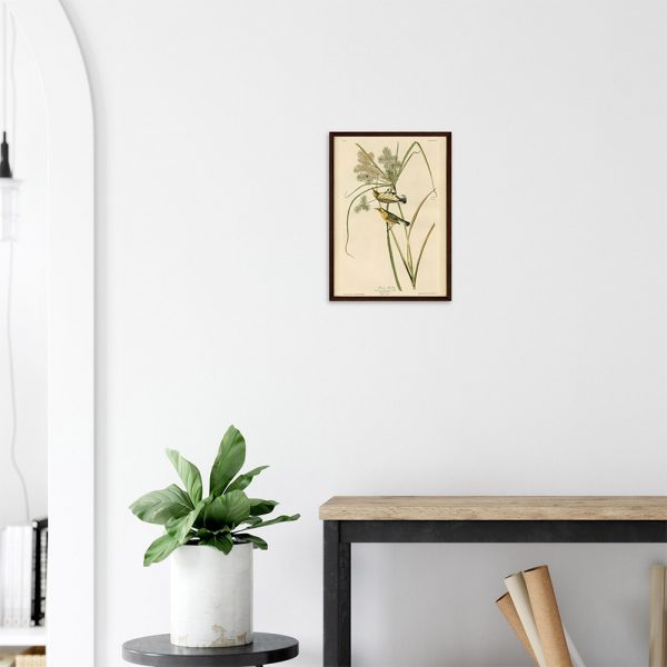 John James Audubon - Prairie Warbler - -framed-art-dark-wood-2