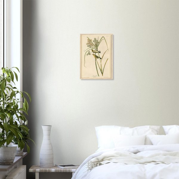 John James Audubon - Prairie Warbler - -framed-art-wood-0