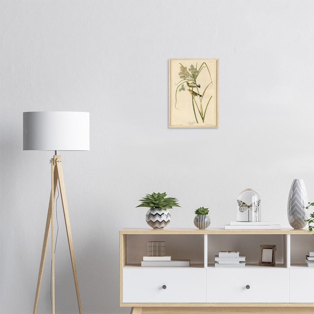 John James Audubon - Prairie Warbler - -framed-art-wood-1