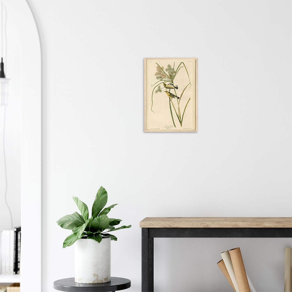 John James Audubon - Prairie Warbler - -framed-art-wood-2