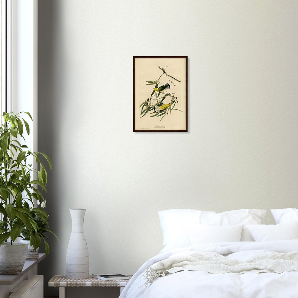 John James Audubon - Prothonotary Warbler - -framed-art-dark-wood-0