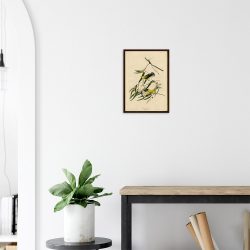 John James Audubon - Prothonotary Warbler - -framed-art-dark-wood-2