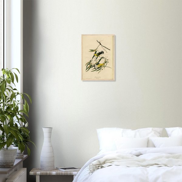 John James Audubon - Prothonotary Warbler - -framed-art-wood-0