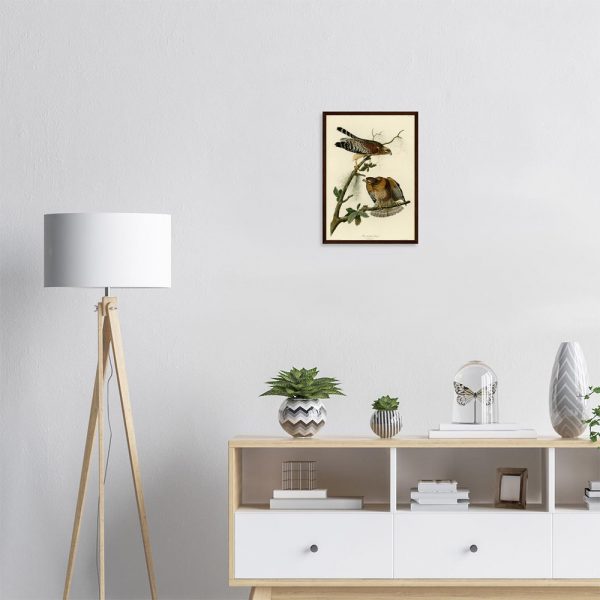 John James Audubon - Red-shouldered Hawk - -framed-art-dark-wood-1