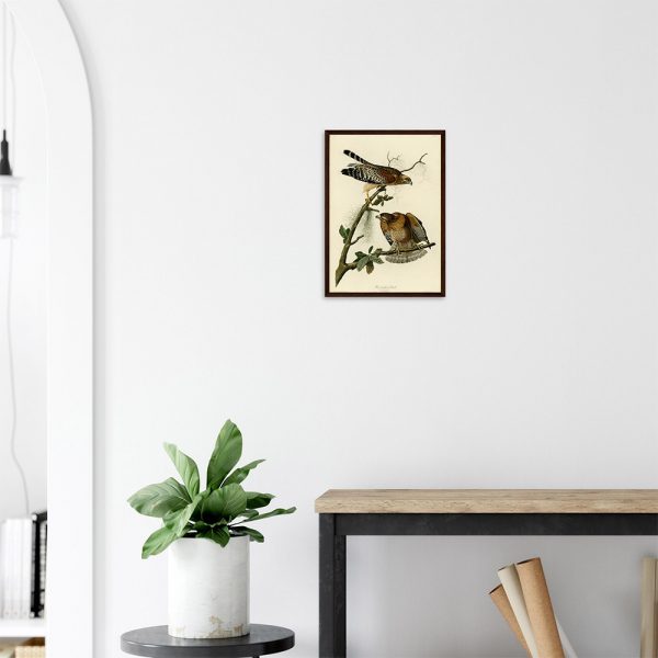 John James Audubon - Red-shouldered Hawk - -framed-art-dark-wood-2