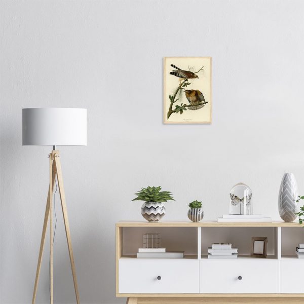 John James Audubon - Red-shouldered Hawk - -framed-art-wood-1