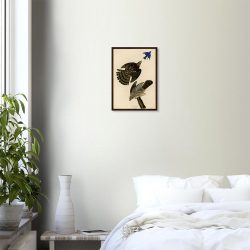 John James Audubon - Stanley Hawk - -framed-art-dark-wood-0