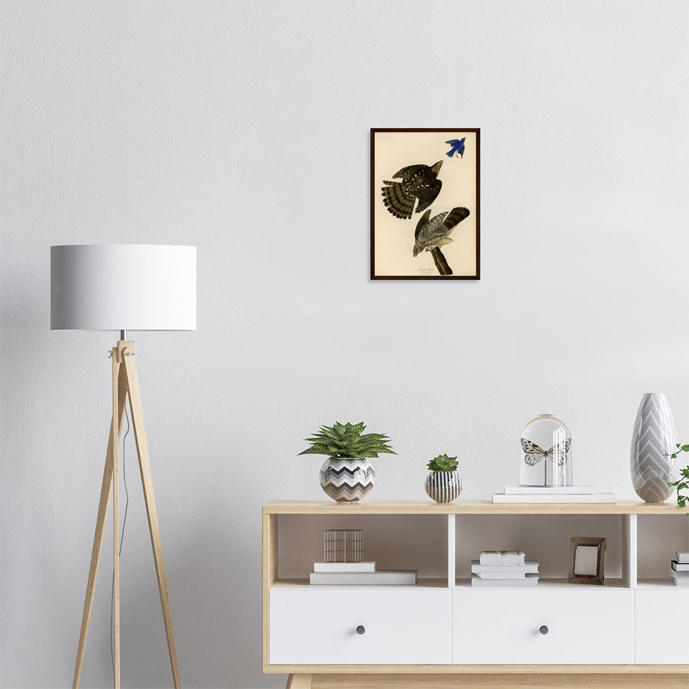 John James Audubon - Stanley Hawk - -framed-art-dark-wood-1