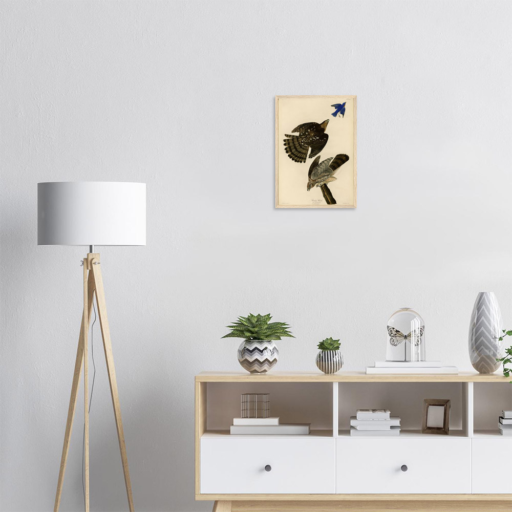 John James Audubon - Stanley Hawk - -framed-art-wood-1