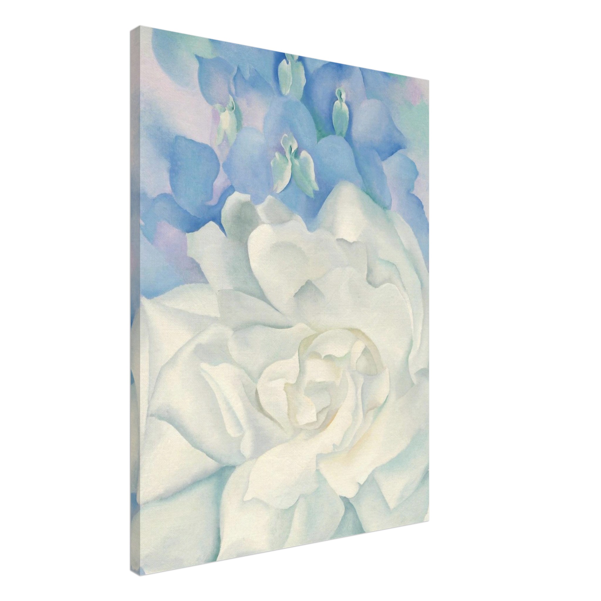 1d825878-8c00-4dfd-ad7d-7dbdd929689a.jpg 1d825878-8c00-4dfd-ad7d-7dbdd929689a