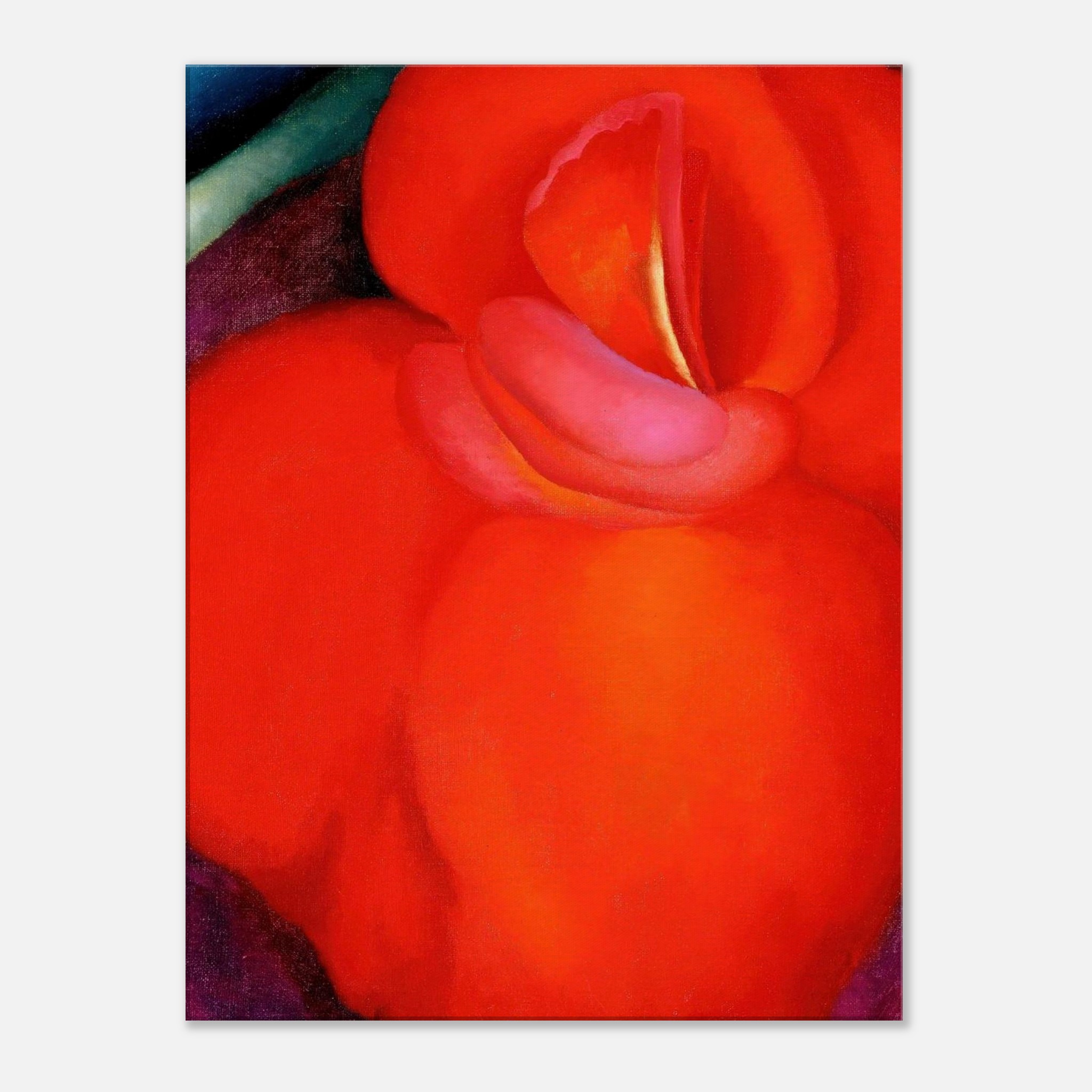 475efb6e-40f6-4141-b93e-d444a8c6c95d.jpg 475efb6e-40f6-4141-b93e-d444a8c6c95d